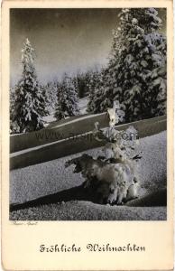 1950ler Almanya fröhliche weilhnachten S/B
kartpostal