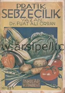 PRATİK SEBZECİLİK