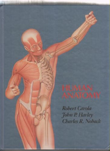 HUMAN ANATOMY