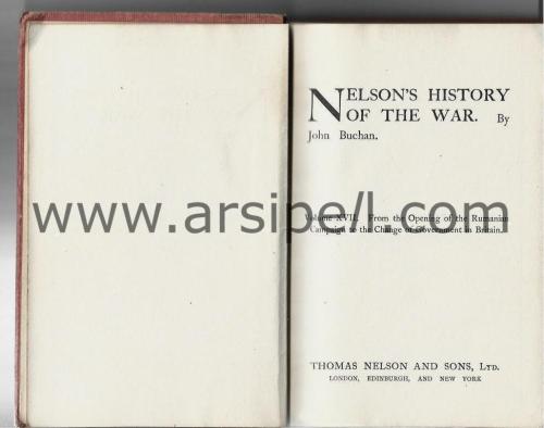 Nelson's History of The War Vol. 17 / From Opening of The Rumanian Campaign to The Change of Government in Britain