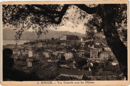 1950ler Cezayir BEJAIA (Bougie) General View S/B Kartpostal