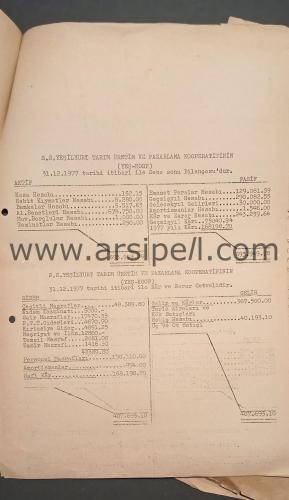 Adana Yeşilyurt Tarım Üretim ve Pazarlama Kooperatifi Çalışma Raporu
