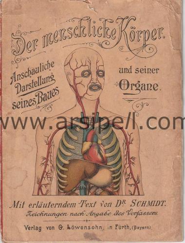 Der Menschliche Körper : Anschauliche Darstellung seines Baues und seiner Organe