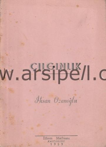Çılgınlık