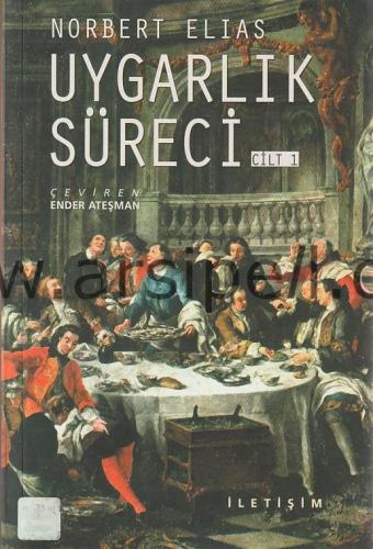 UYGARLIK SÜRECİ