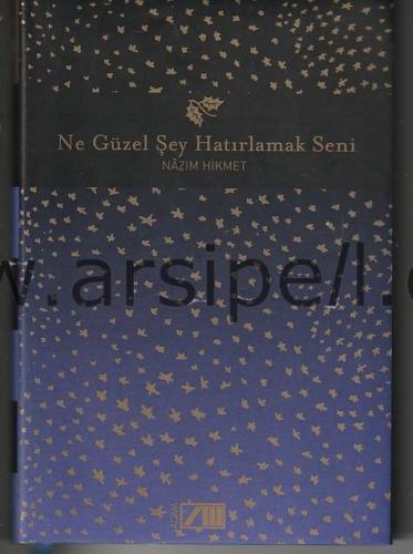 NE GÜZEL ŞEY HATIRLAMAK SENİ [CİLTLİ ŞÖMİZLİ]