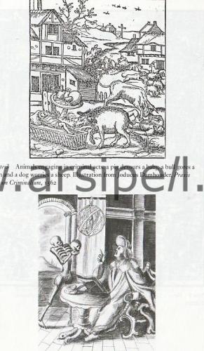 Strange Histories: The Trial of the Pig, the Walking Dead, and Other M