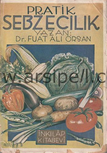 PRATİK SEBZECİLİK