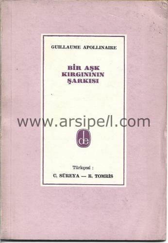 BİR AŞK KIRGINININ ŞARKISI
