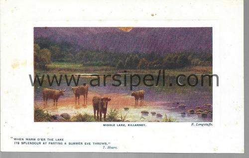 Irlanda Middle Lake, Killarney Bölgesi Yabancı Şehir Kartpostalı Tuck's Post Card